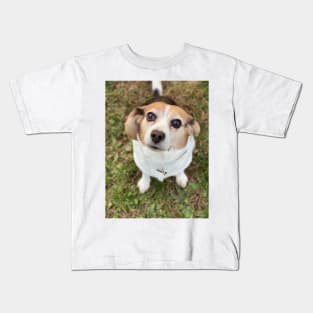 The Curious Beagle Kids T-Shirt